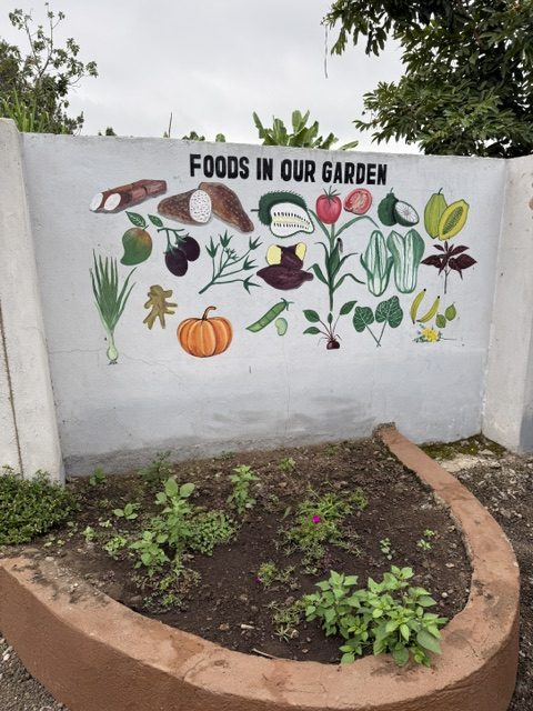Bemalte Wand mit Gemüse-Illustrationen: Foods in our Garden