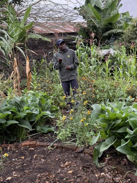 Üppig bewachsener Garten mit Besuchergruppe